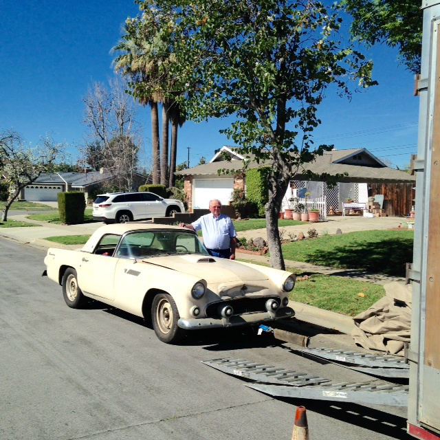 1955 Thunderbird Convertible Survivor